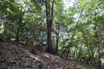 カメラは水平である。多くはこれ以上の斜面だ。