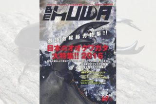 be-kuwa 59 2016年 06 セール 月号 雑誌 月刊むし 増刊 雑誌